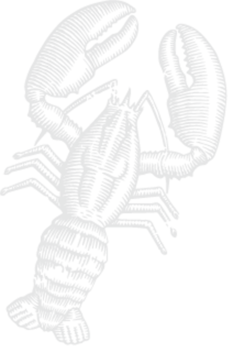 Transparent Lobster Background Overlay